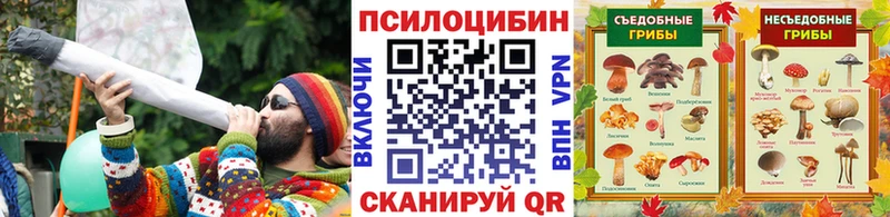 shop какой сайт  Любим  Галлюциногенные грибы прущие грибы  кракен онион 